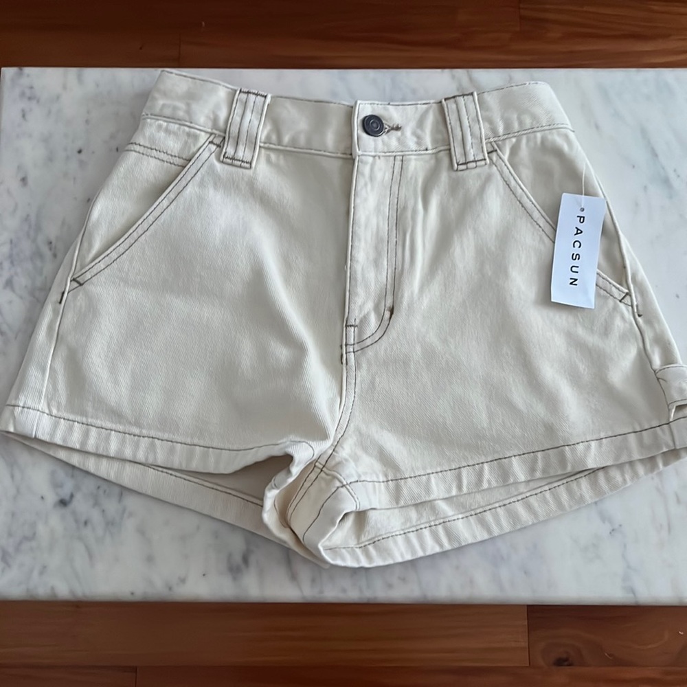 NWT Pacsun Bone Carpenter Shorts